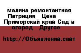 малина ремонтантная Патриция › Цена ­ 50 - Приморский край Сад и огород » Другое   